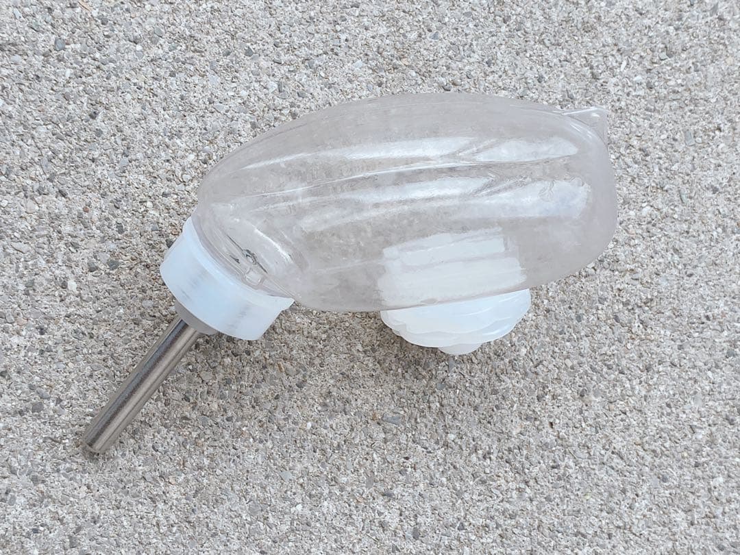 ハムスター　買い始めセット(埼玉県、直接渡しのみ)