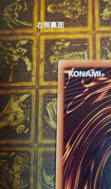 迷宮城の白銀姫 レディオブザラビュリンス　絵違い　クオシク　25th 2枚セット