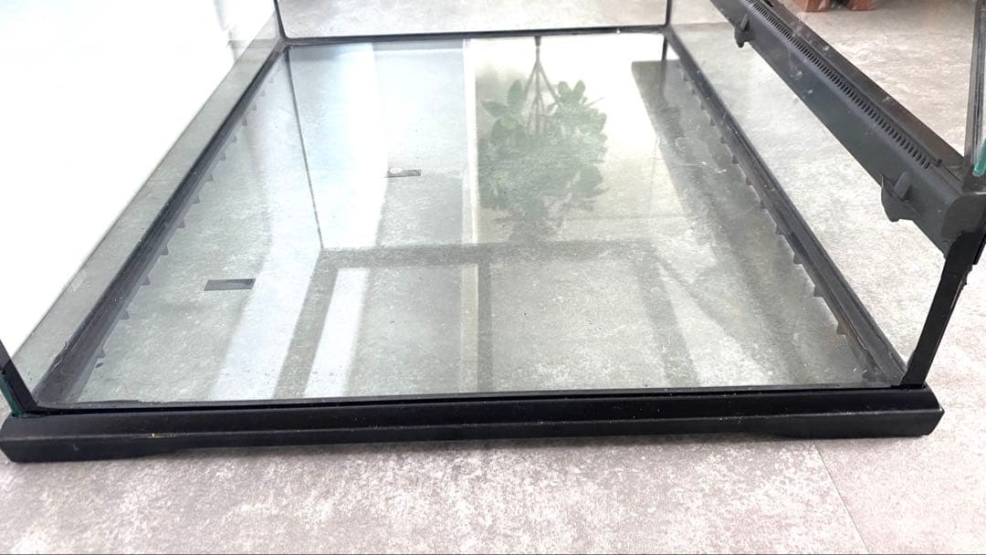 グラステラリウム6030 60×45×30 ガラス製 飼育ケージ 透明 2扉