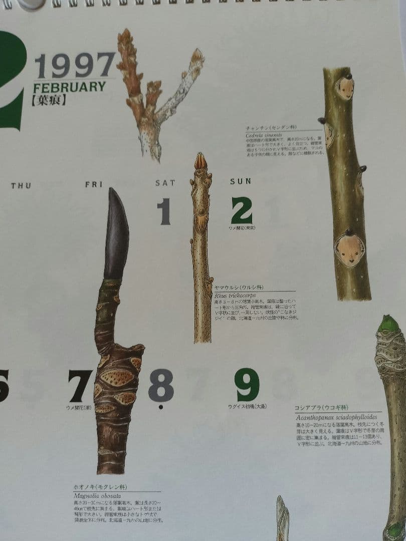 BE-PAL ビーパル カレンダー 新品未使用 1997年　ヴィンテージ