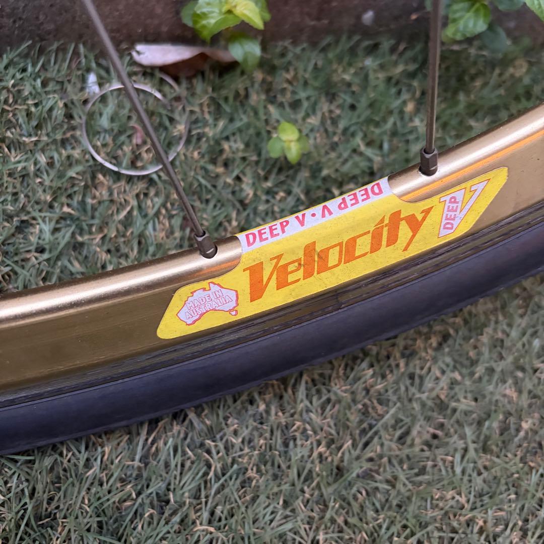 SURLY × VELOCITY DEEP V ピストホイール