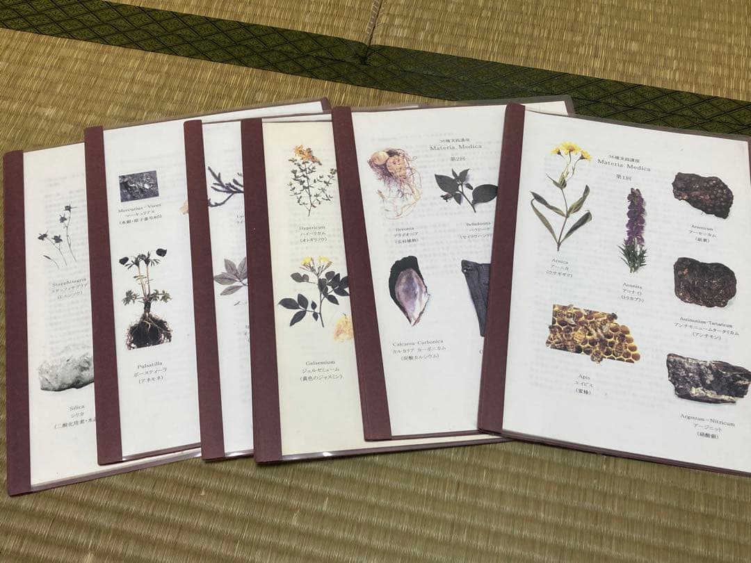 ホメオパシー36種実践講座 全15冊セット