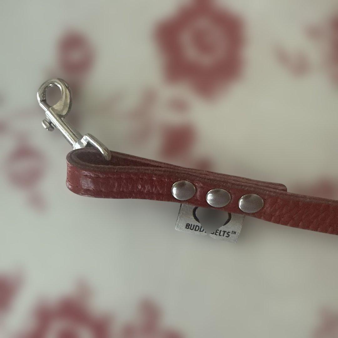 バディベルト✴︎ハーネス、リードセット