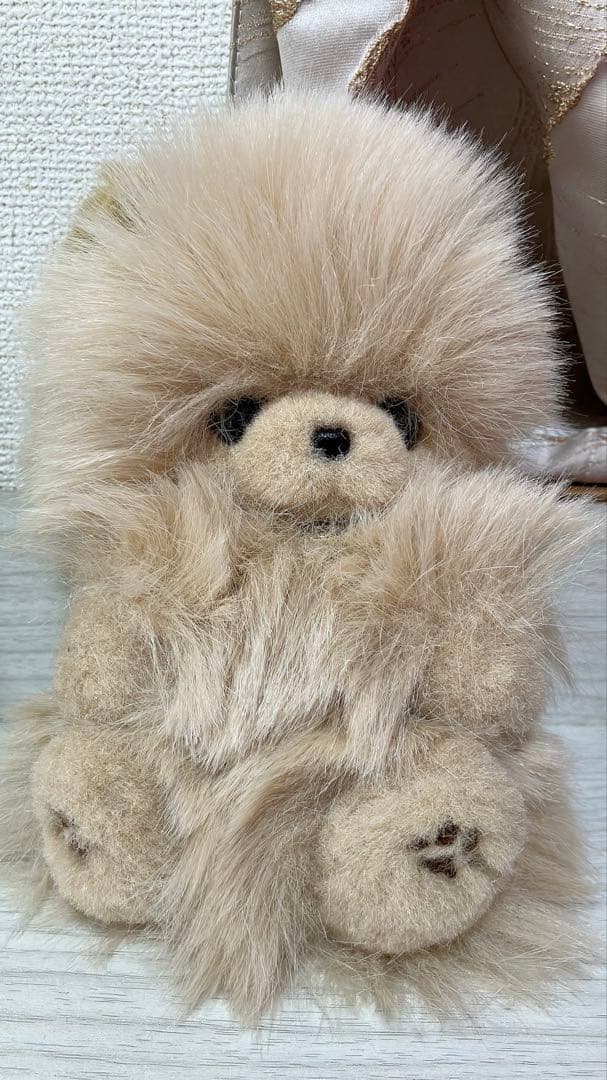 リカ⭐︎ベージュのふわふわポメラニアン♡