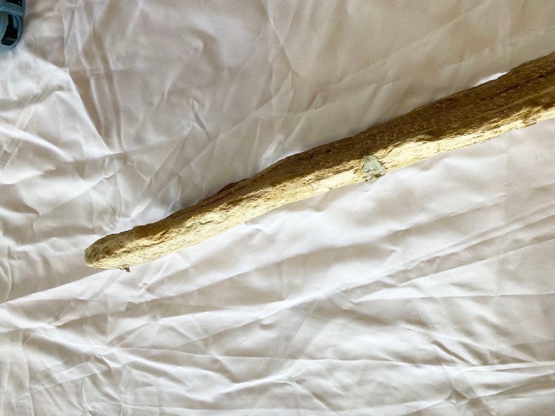 ブラジル産　魚の化石　重さ5kg 長さ62.3cm 幅14.7cm ②