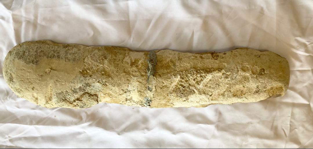 ブラジル産　魚の化石　重さ5kg 長さ62.3cm 幅14.7cm ②