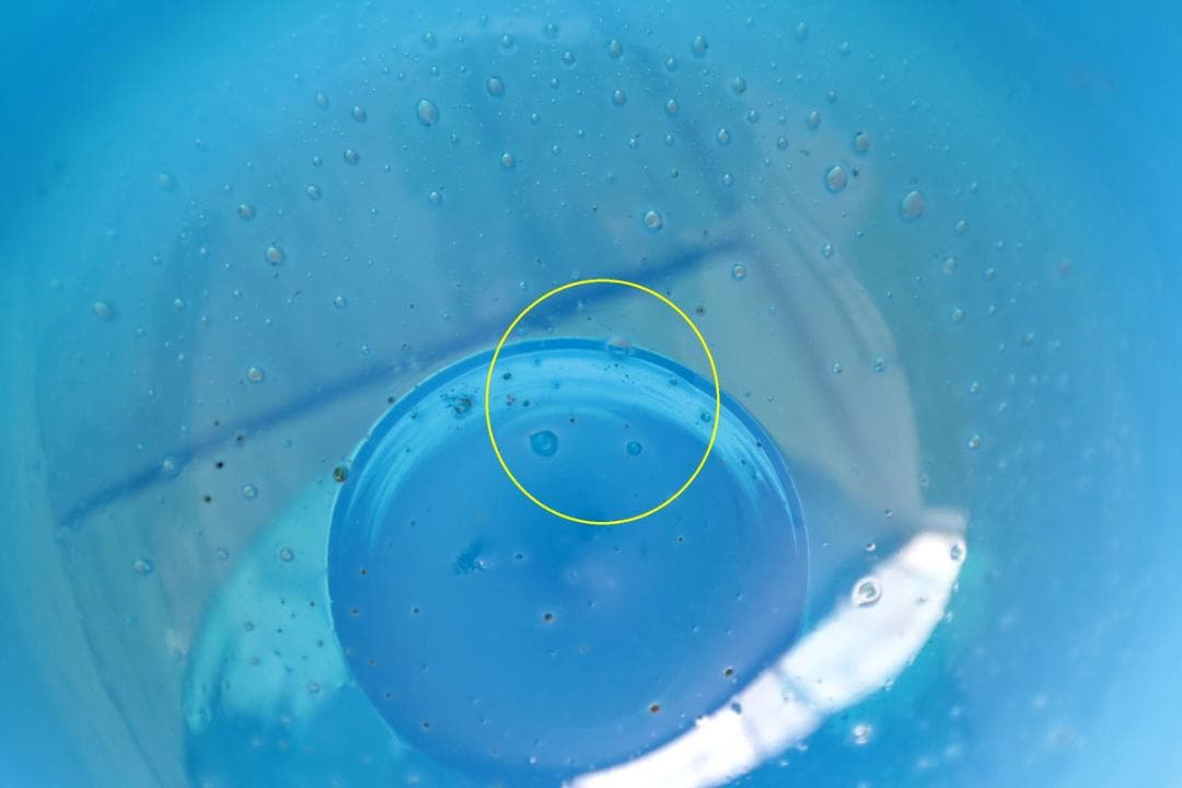 Erik Hoglund エリックホグラン コンポート 93961