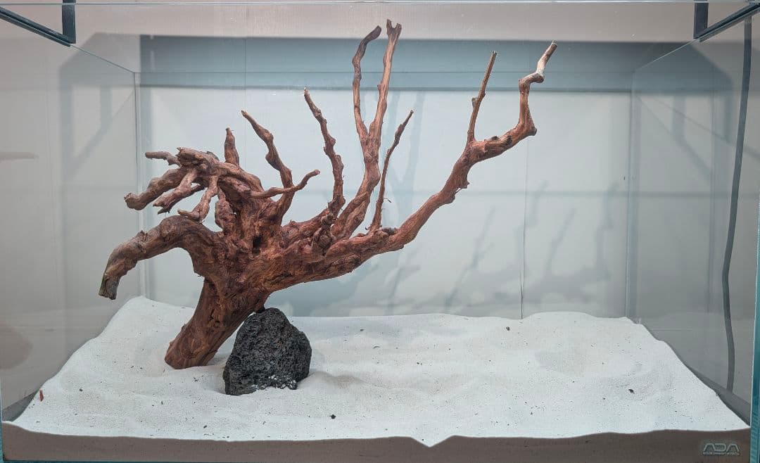 スマトラブランチウッド【SBC134】アクアリウム 水槽 流木 まとめ買い対応