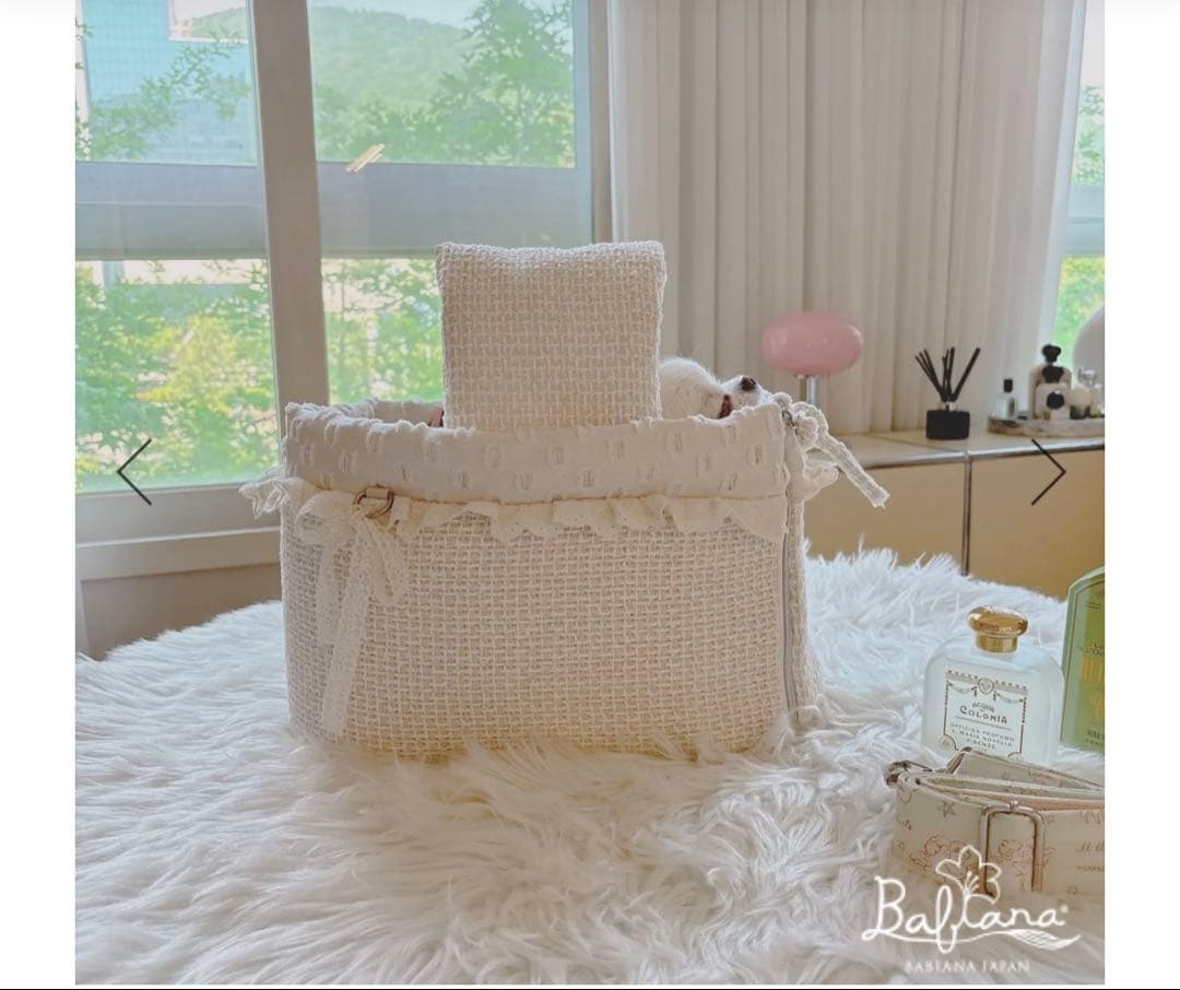 BABIANAキャリーバッグ　韓国　犬