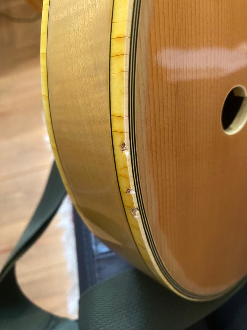 Greco / BR-110N Birdland ステッカーナンバードPAF搭載