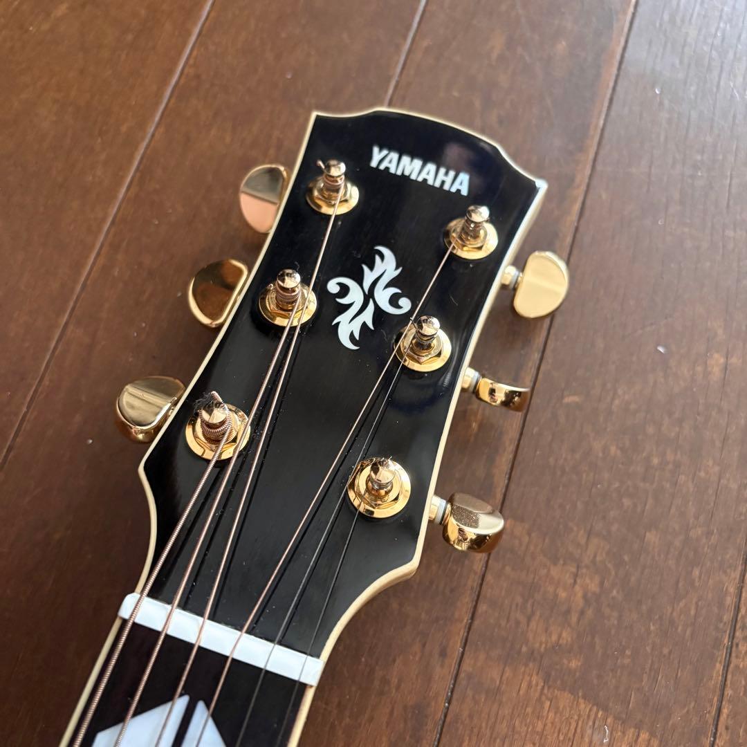 YAMAHA APX1000(PW) ヤマハ エレアコ パールホワイト