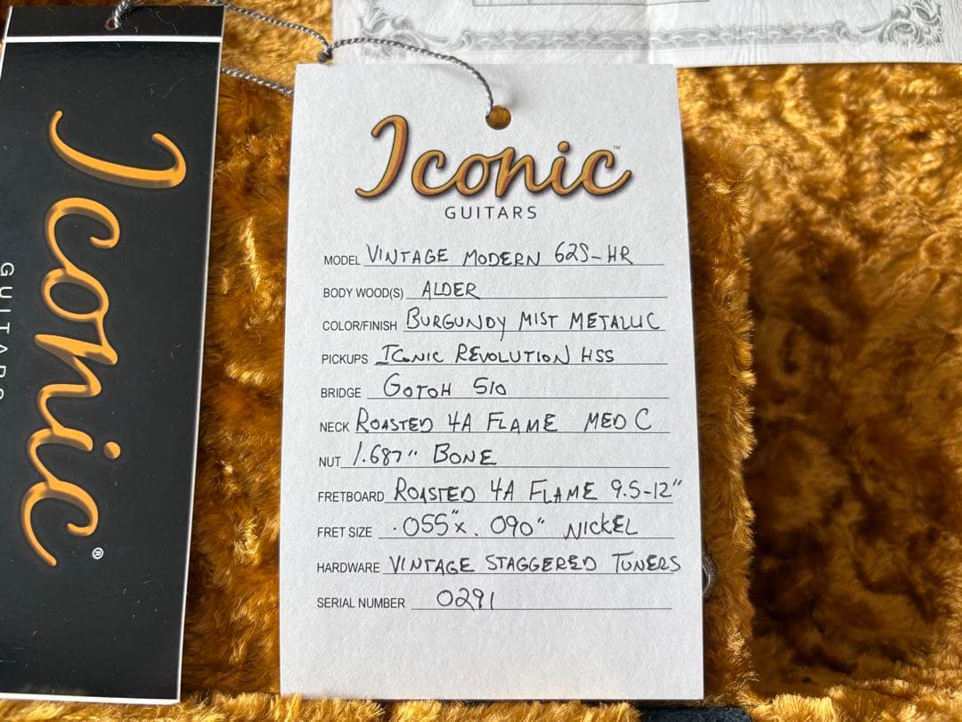 ギター Iconic Guitars VM62S HR BRG MIST