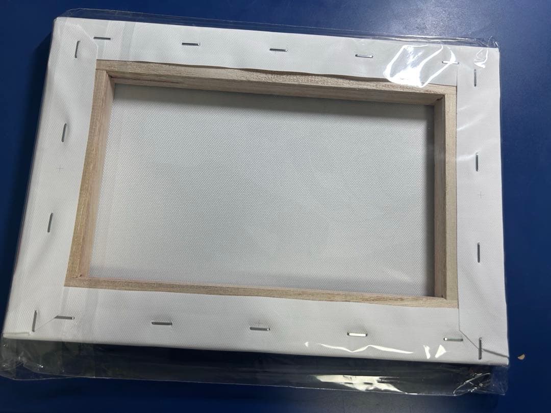 メダリスト 全巻購入特典 アニメ描き下ろしキャラファインボード 狼嵜光 夜鷹純