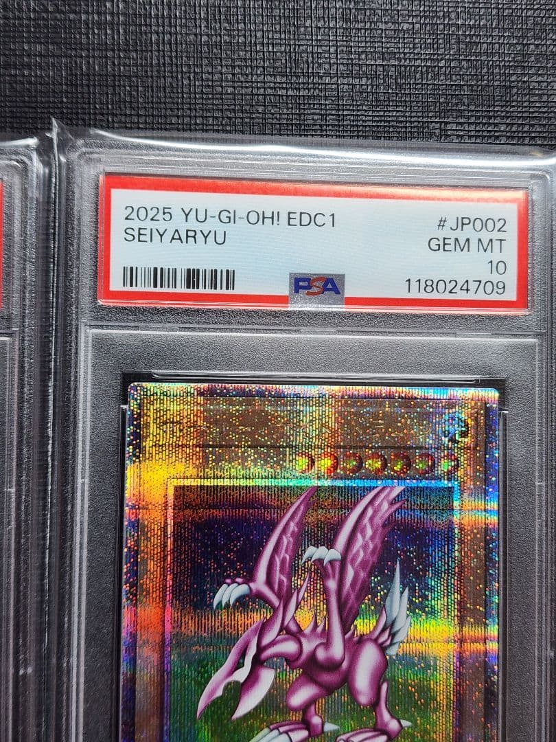 ご*こ様 連番 PSA10 究極完全態 グレートモス ホーリーナイトドラゴン 2