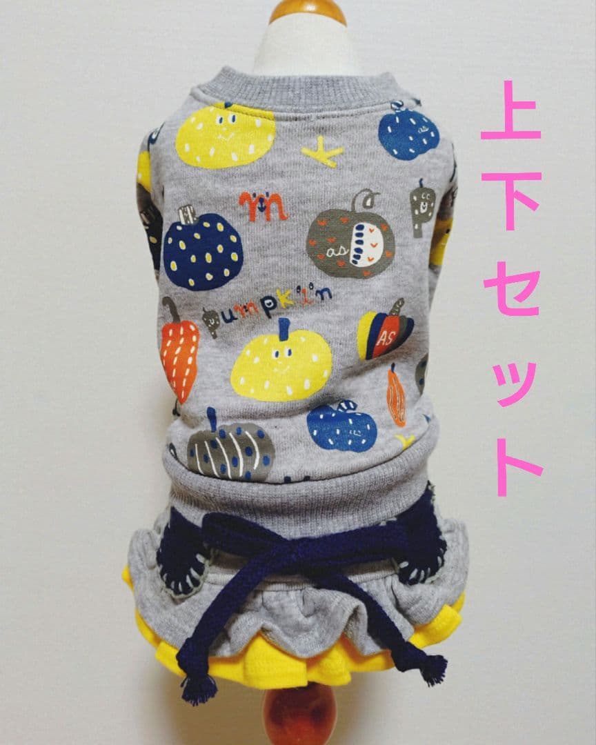 カボチャチャ＋パッチネオンスカート　アズノゥアズデワンasknowasdewan