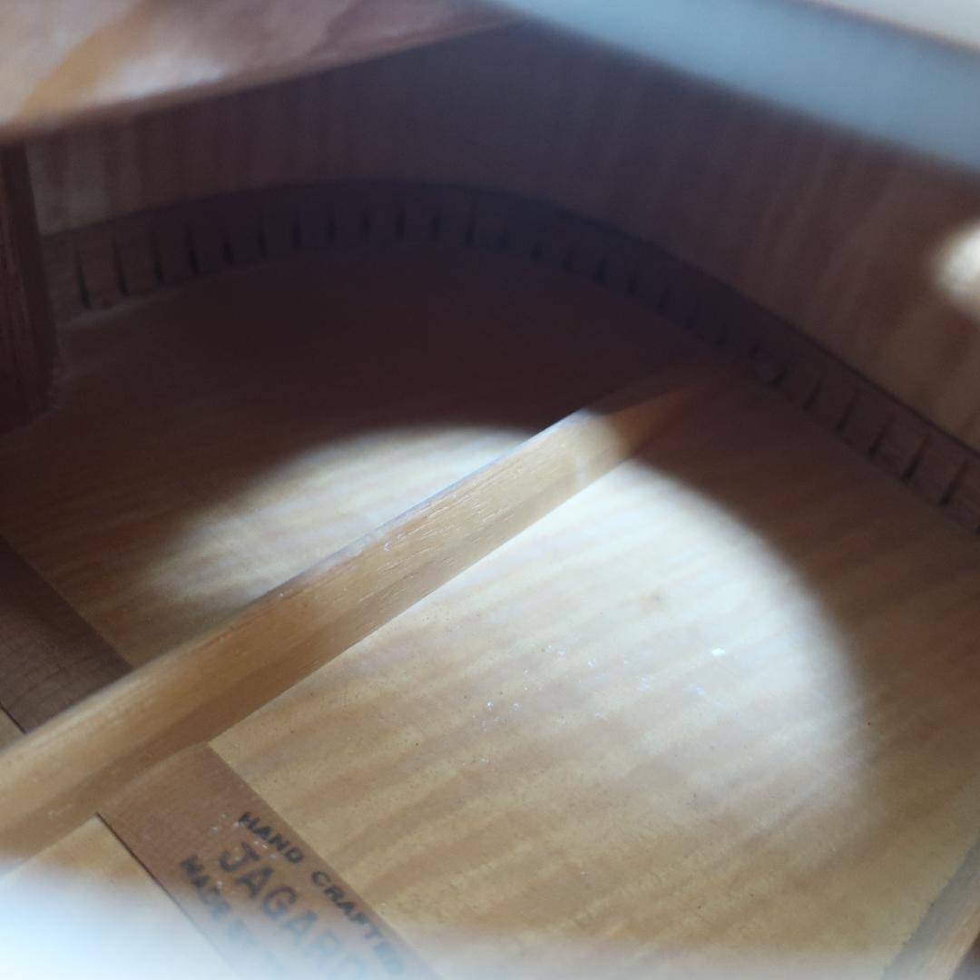 JAGARD TB-350 ギター ハミングバードDOVEタイプ ハードケース付