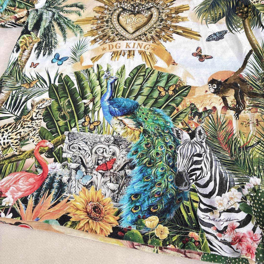 DOLCE&GABBANA ドルチェアンドガッバーナ　トロピカルラブ　130