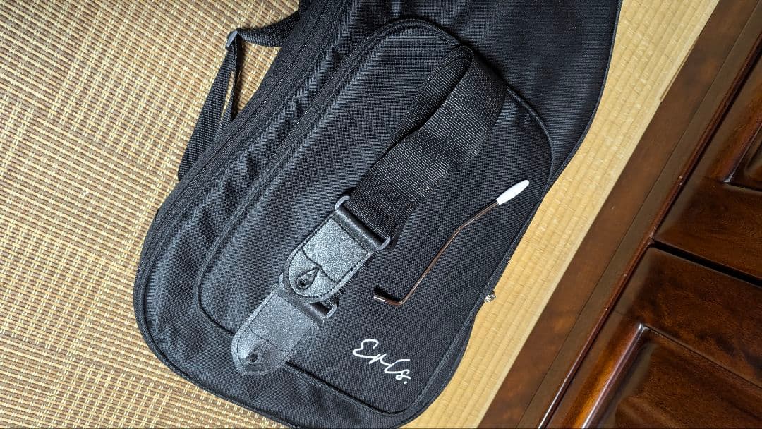 Eris. NESTIA ストラトキャスタータイプ エレキギター