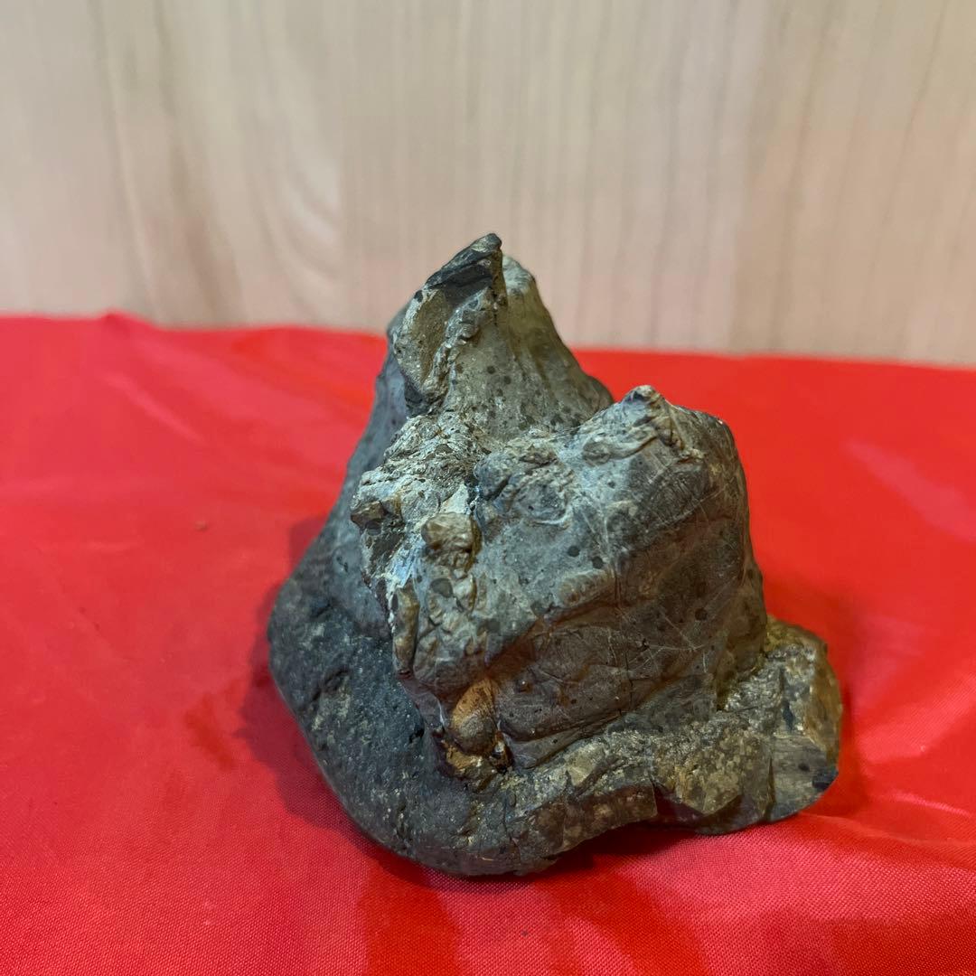 【和歌山古谷石】自然石 盆石　鑑賞石　置物　天然石 原石　滝