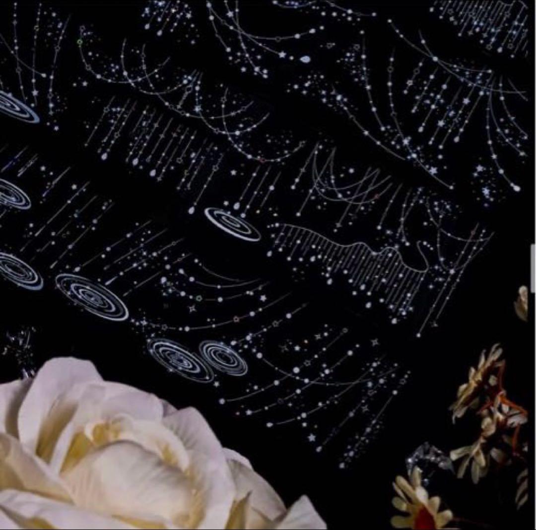 PET 6cm×5m 雨落 海外マスキングテープ　海外マステ　雨　水たまり　装飾