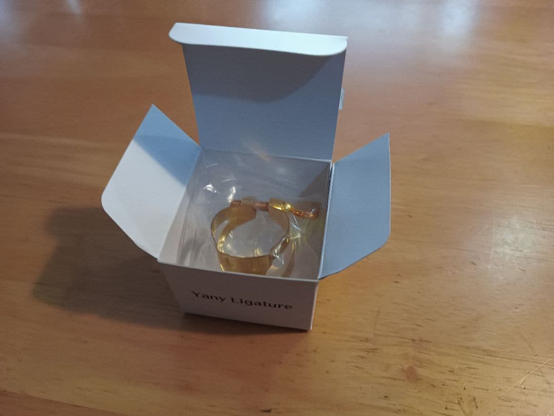 ヤナギサワ　ヤニーリガチャー　アルトサックス