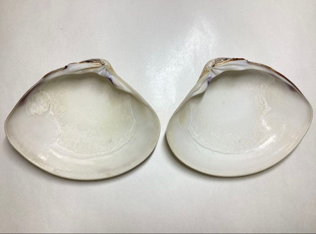 香合 蛤 源氏香 輪島塗 川原秀 木箱入 茶道具 古物品