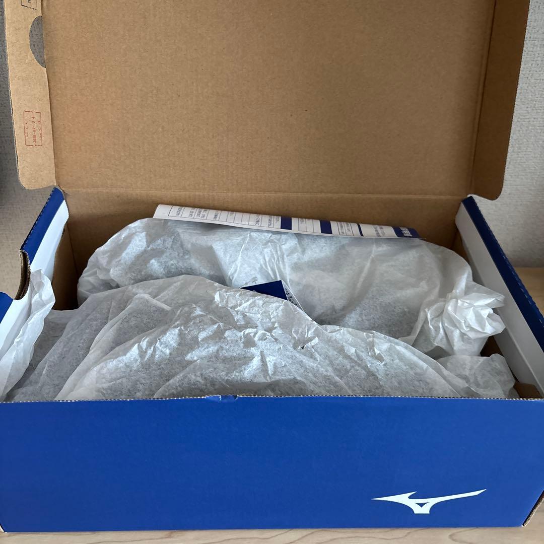 Mizuno ALMIGHTY LS 安全靴 25.0 EEE 迷彩柄