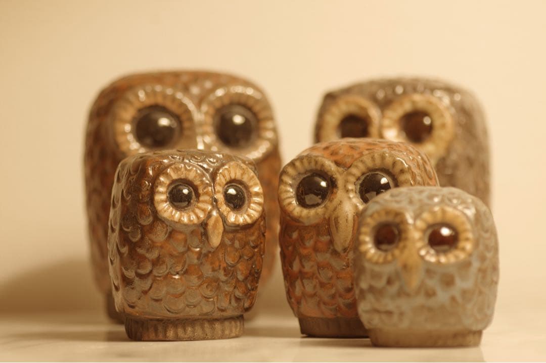 幸せを呼ぶ　ふくろう Lars Bergsten ラース・バーグステン 梟　6羽