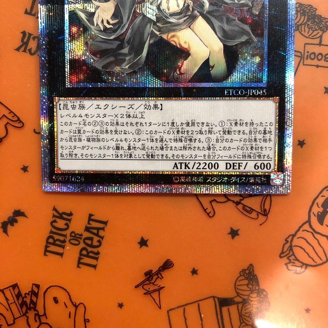 アロメルスの蠱惑魔　20th