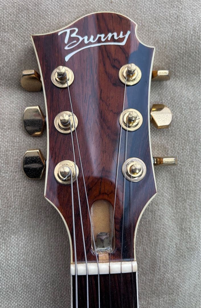 FERNANDES Burny MG-85X モッキンバード hide