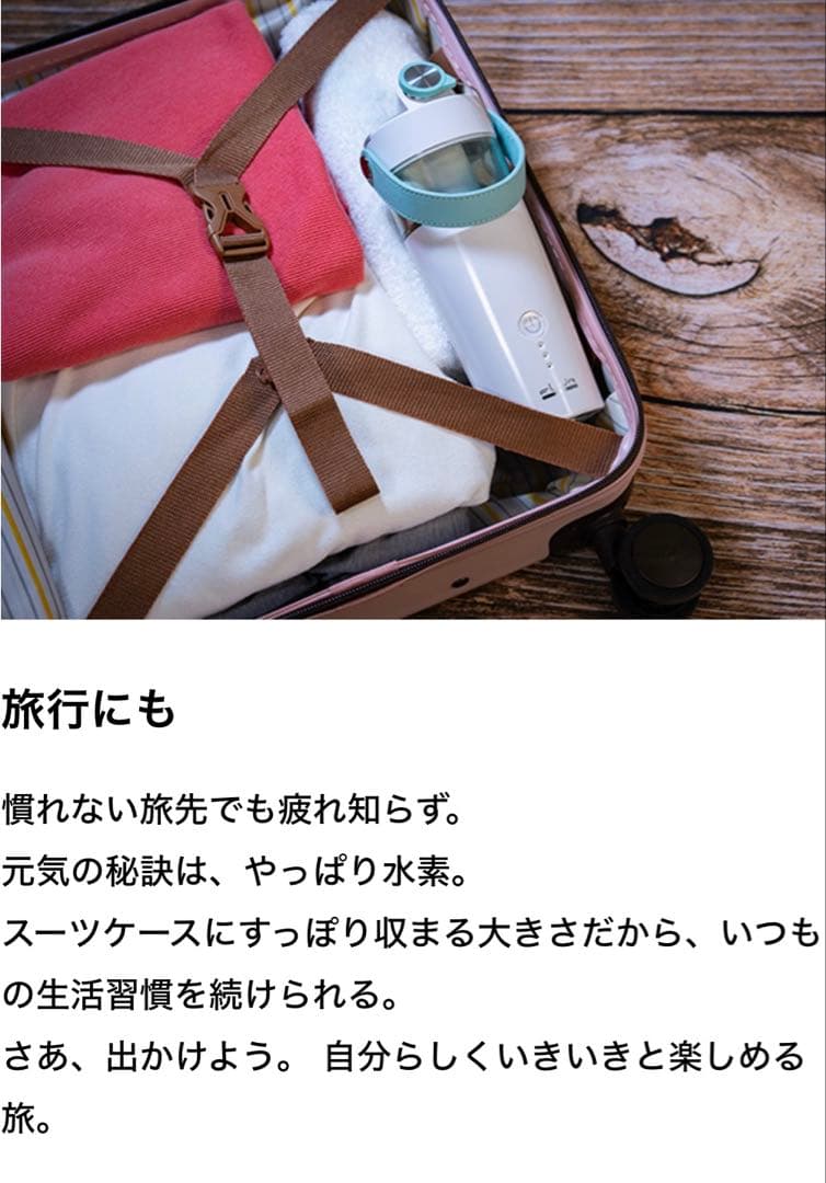 フラックス　水素エアージェネレータ　フレアー ミニ　FLAX FLM-25 新品