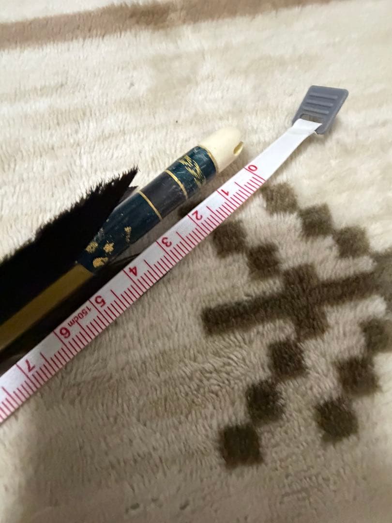 弓道 カーボン矢 95cm 黒鷲染抜 匠カーボン8022 10本プラス3本おまけ