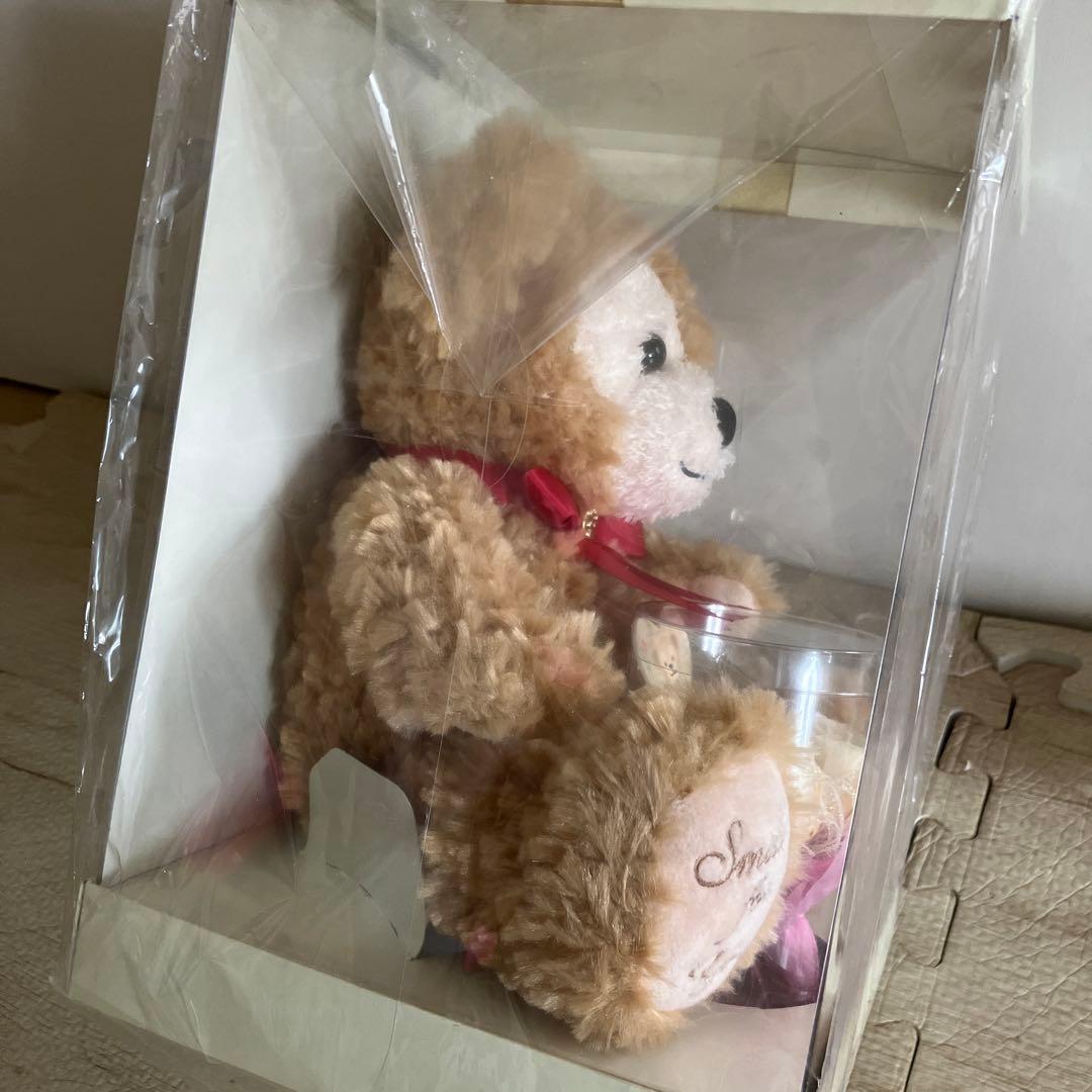 Disney Duffy未使用品