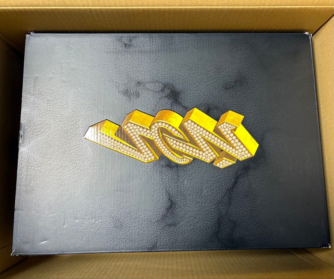 【12/7迄の600円引価格】NIKE ザイオン4 PF 32cm 新品未使用