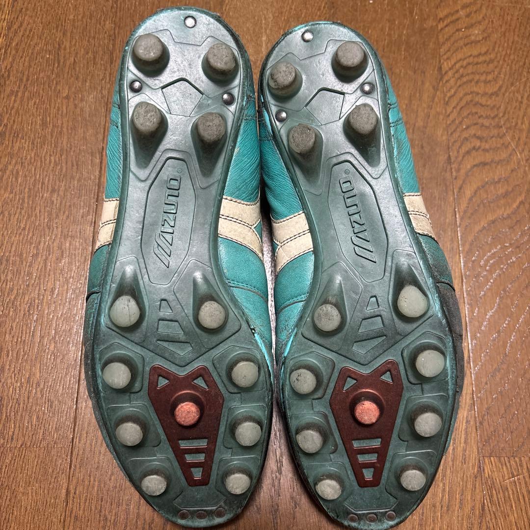 ぴこさん専用　モレリア2japan