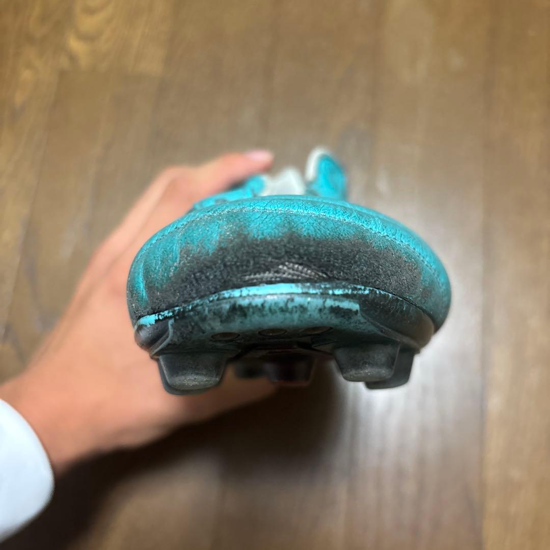 ぴこさん専用　モレリア2japan