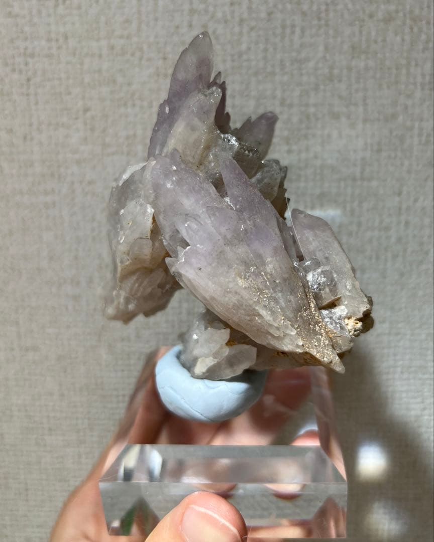 【本日限定】国産鉱物　富井鉱山　紫水晶群晶