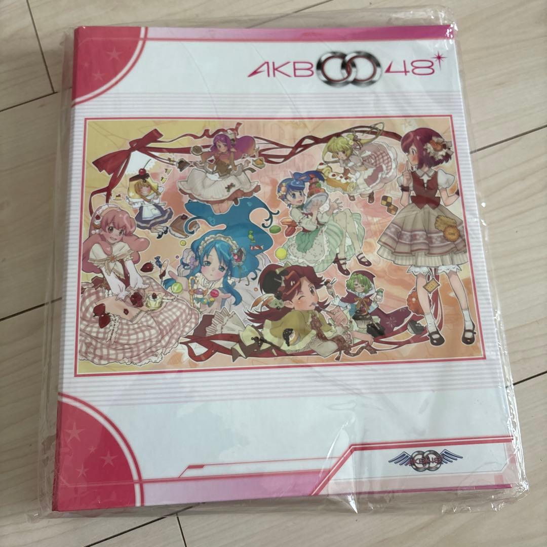 AKB0048 バインダー