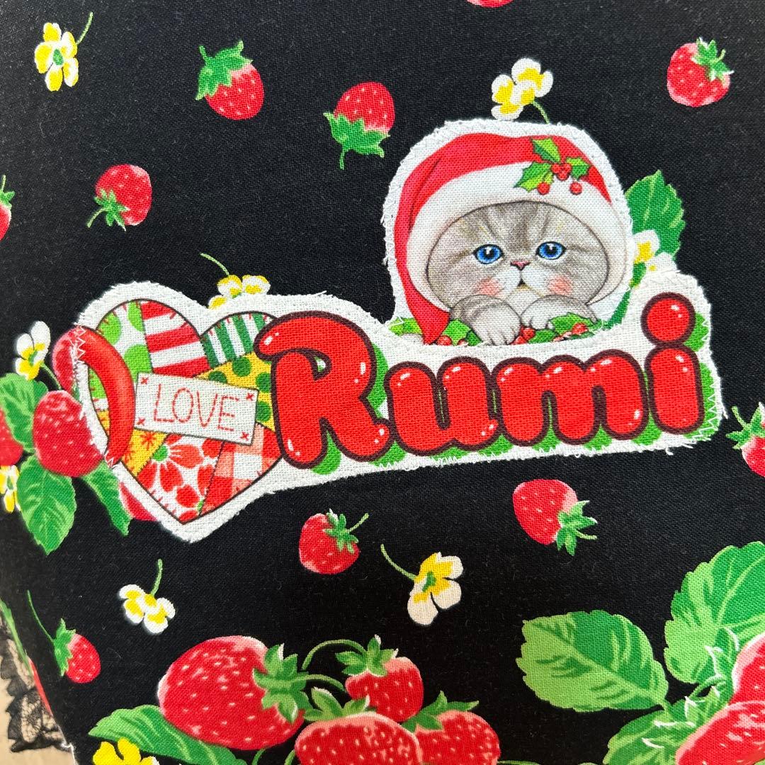 ころりんトート＆ポーチ　コヤンイサムチョン☆クリスマスBIGルミちゃん☆