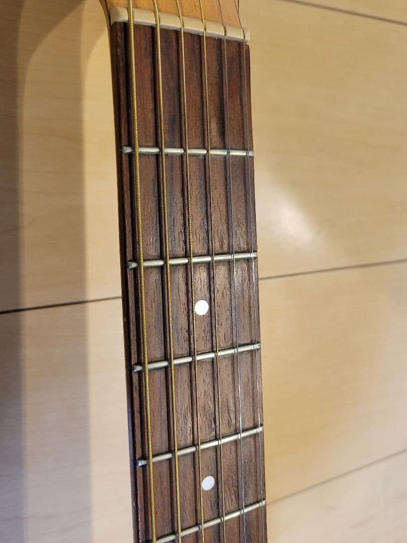 アコギSeagull + ピックアップ