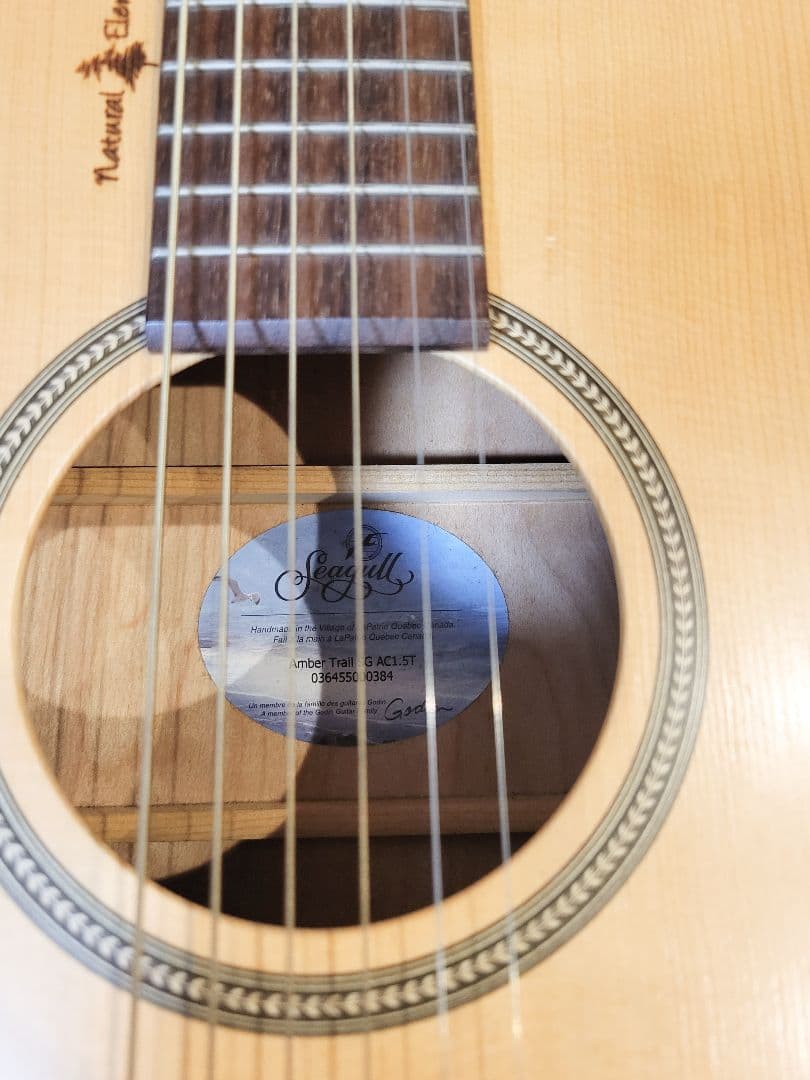 アコギSeagull + ピックアップ
