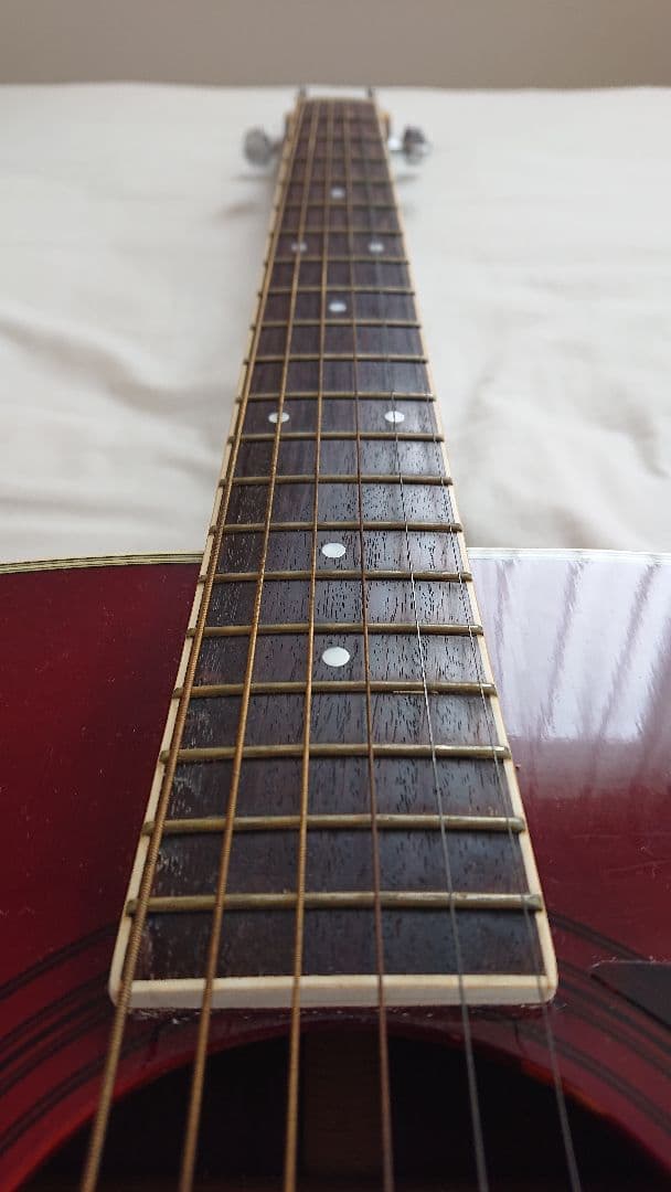 【Morris アコースティックギター MF-207】 +タカミネハードケース