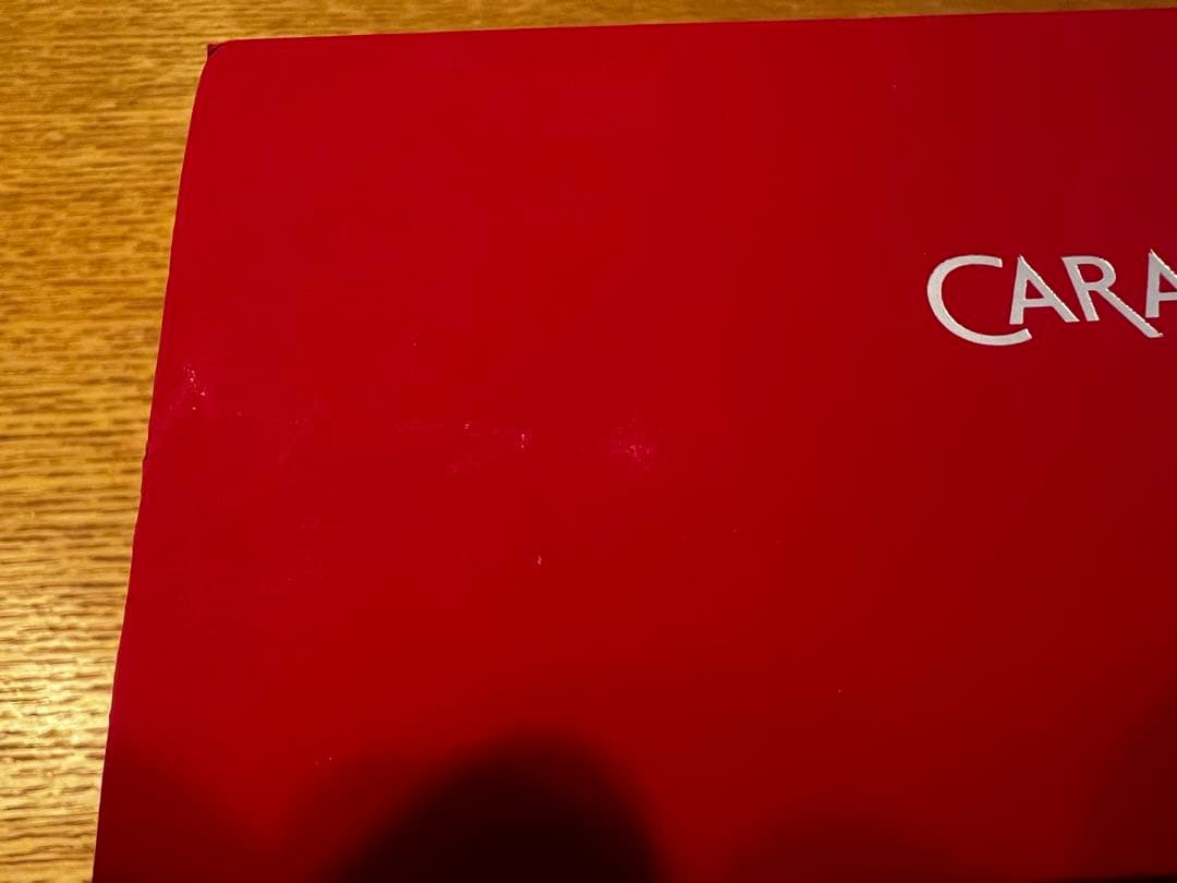 こ*す様 CARAN D'ACHE カランダッシュ　エクリドール　レトロシルバー