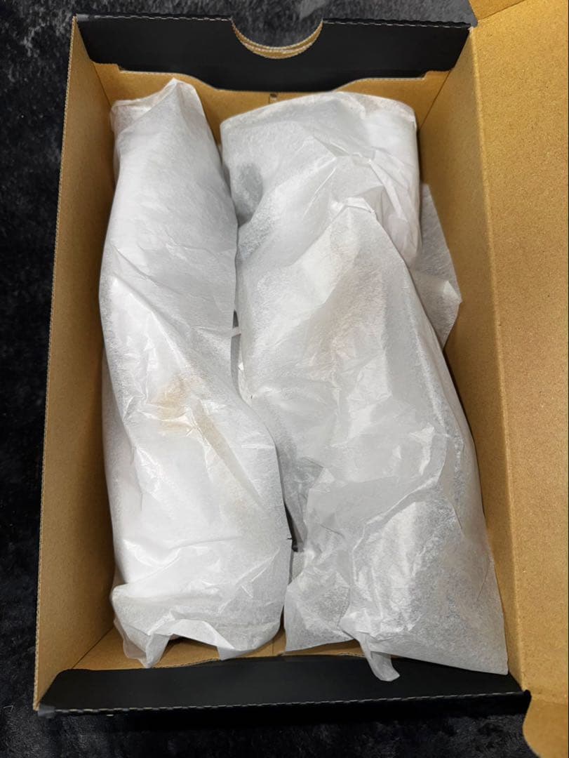 ミズノモレリアネオ