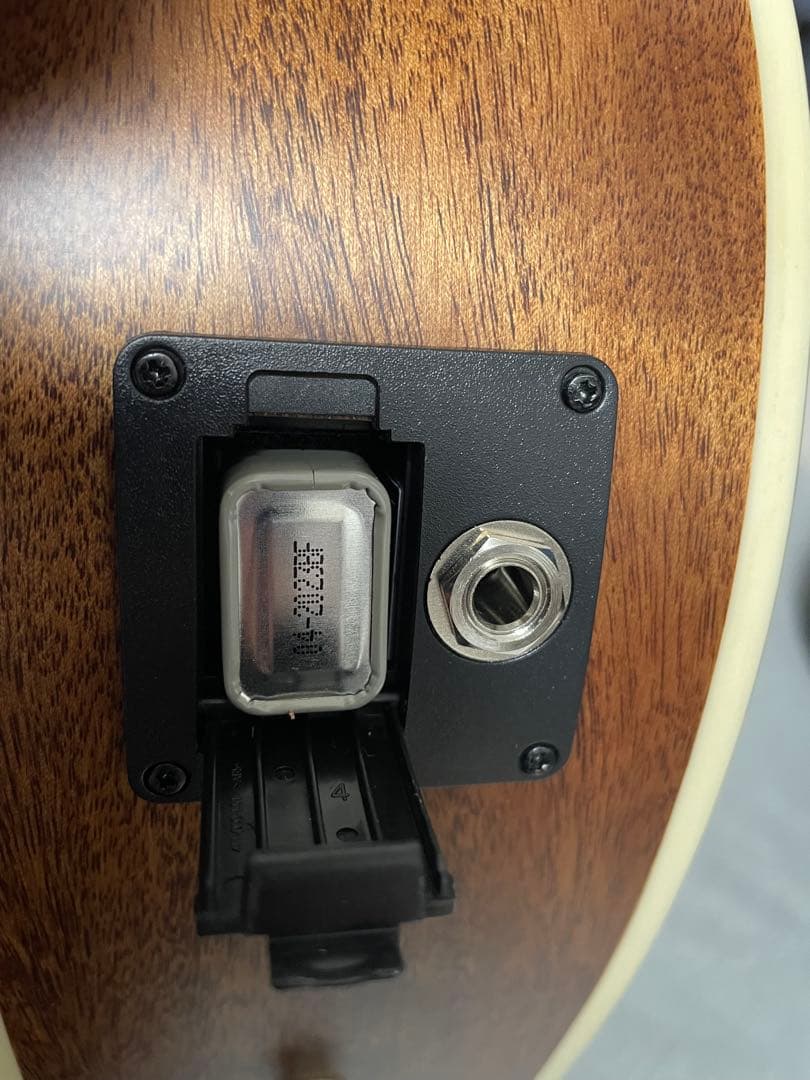 超美品！Paul Reed Smith SE Parlor Fishman