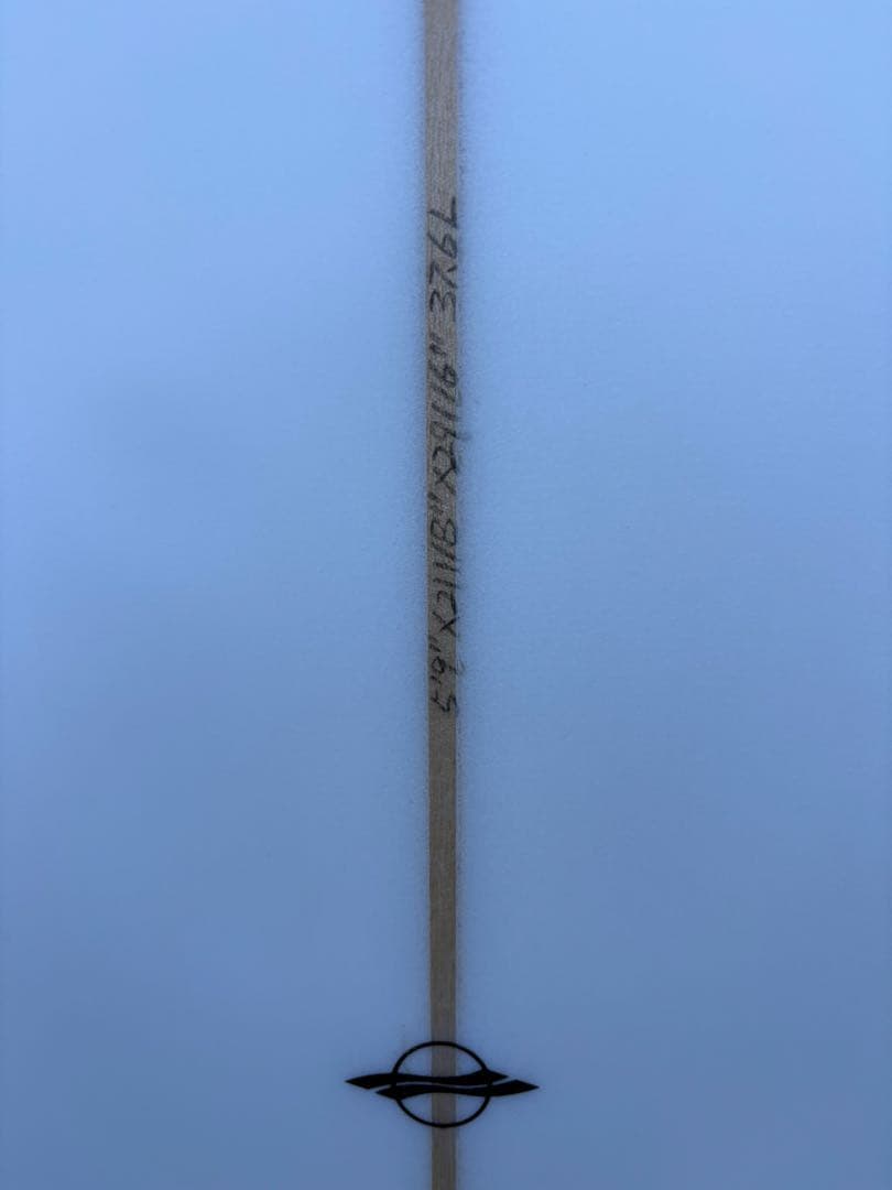 サーフボード ツインフッシュ 5.9