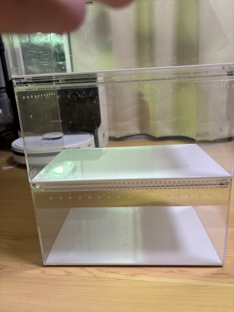 レプタイルボックス