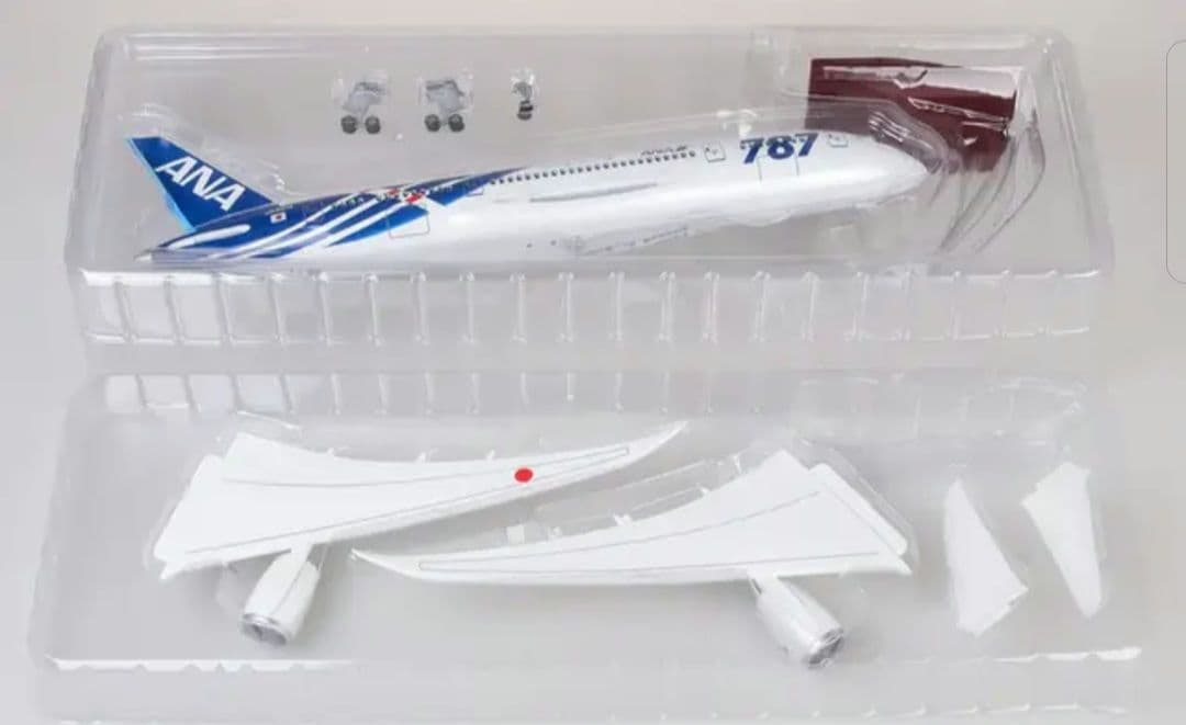 るぅさん専用SALE！Boeing787/ANA 1/150