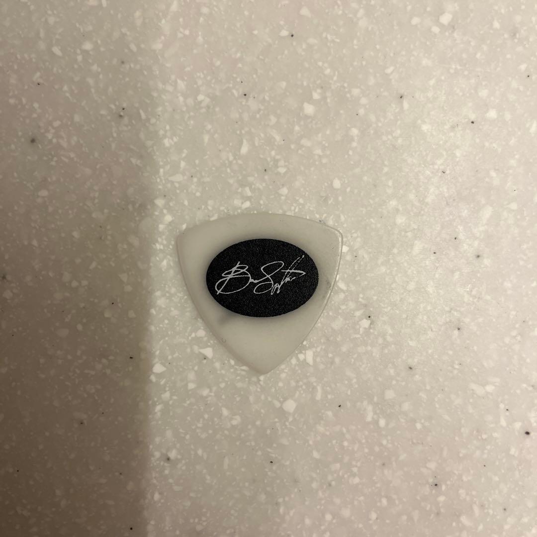 Bruce Springsteen ギターpick 2025 ツアー