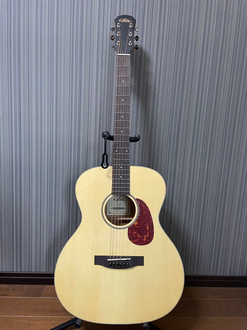 Aria アコースティックギター ARIA-100 MTN